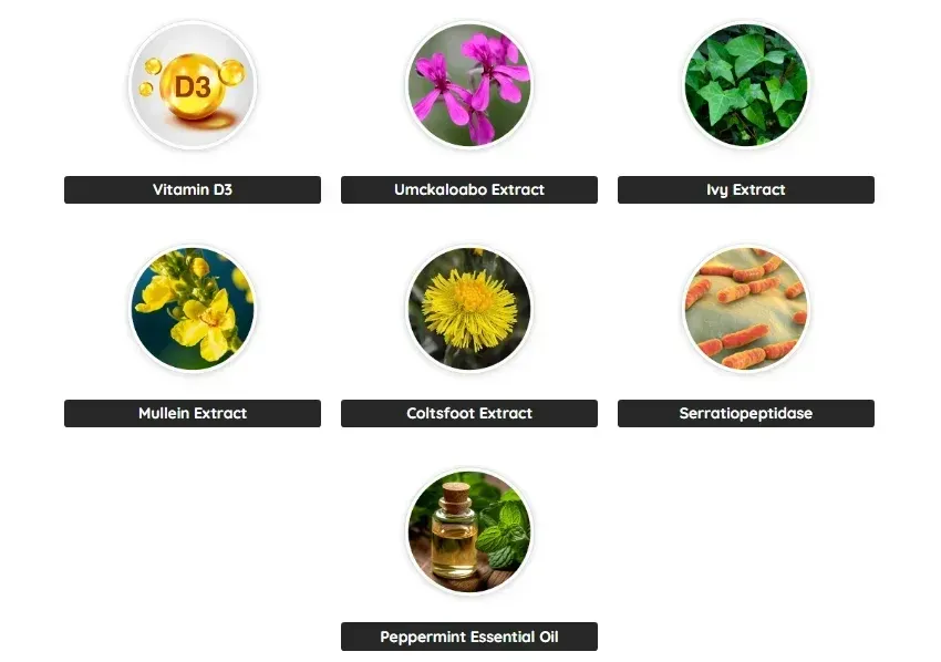 Key Ingredients in AeroSlim – Natural Plant-Based Formula for Weight Loss, Energy, and Wellness