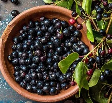 GlucoBerry offers a natural, science-backed solution for lasting balance and vibrant health.