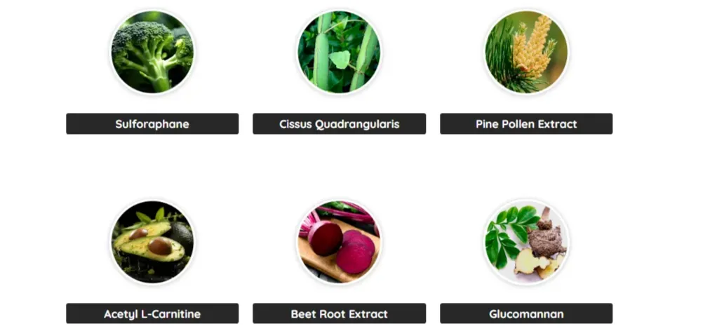 LipoSlend Ingredients: Powerful Natural Blend for Effective Weight Loss & Total Wellness