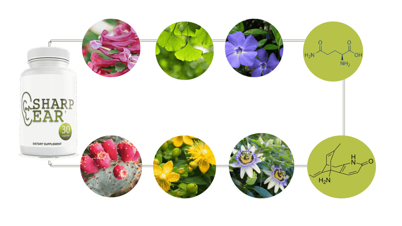 SharpEar Ingredients – Powerful Natural Formula for Hearing & Brain Health