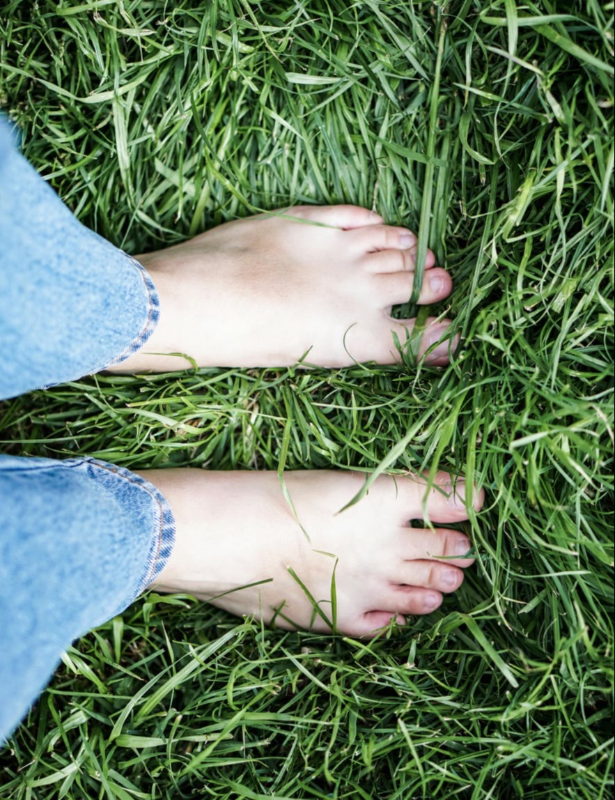 Tesla Grounding Device: Revolutionizing Wellness with Scalar Wave and Frequency-Based Technology