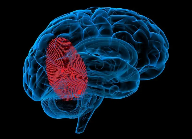  specialized sound wave to stimulate a specific region of your brain