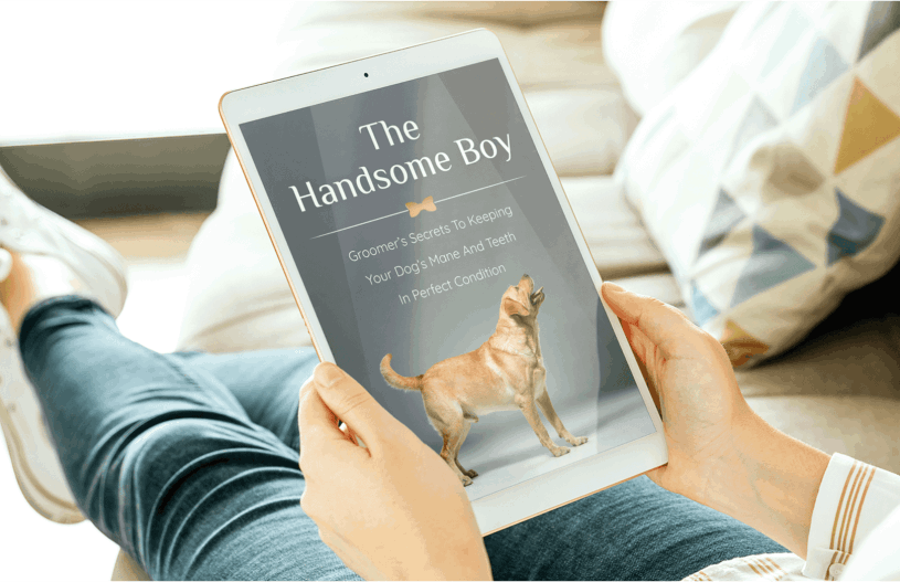 UltraK9 Pro free bonus-The Handsome Boy