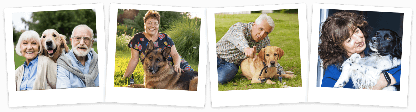 UltraK9 Pro Ingredients – Powerful Natural Blend for Your Dog’s Health and Vitality